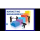 Management - Marketing