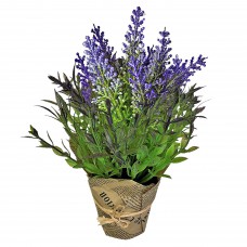 ΓΛΑΣΤΡΑΚΙ ΜΕ ΛΕΒΑΝΤΑ 25x7cm