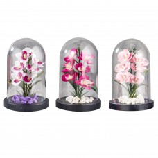 ΓΥΑΛΑ ΜΕ ΛΟΥΛΟΥΔΙΑ 19x12cm