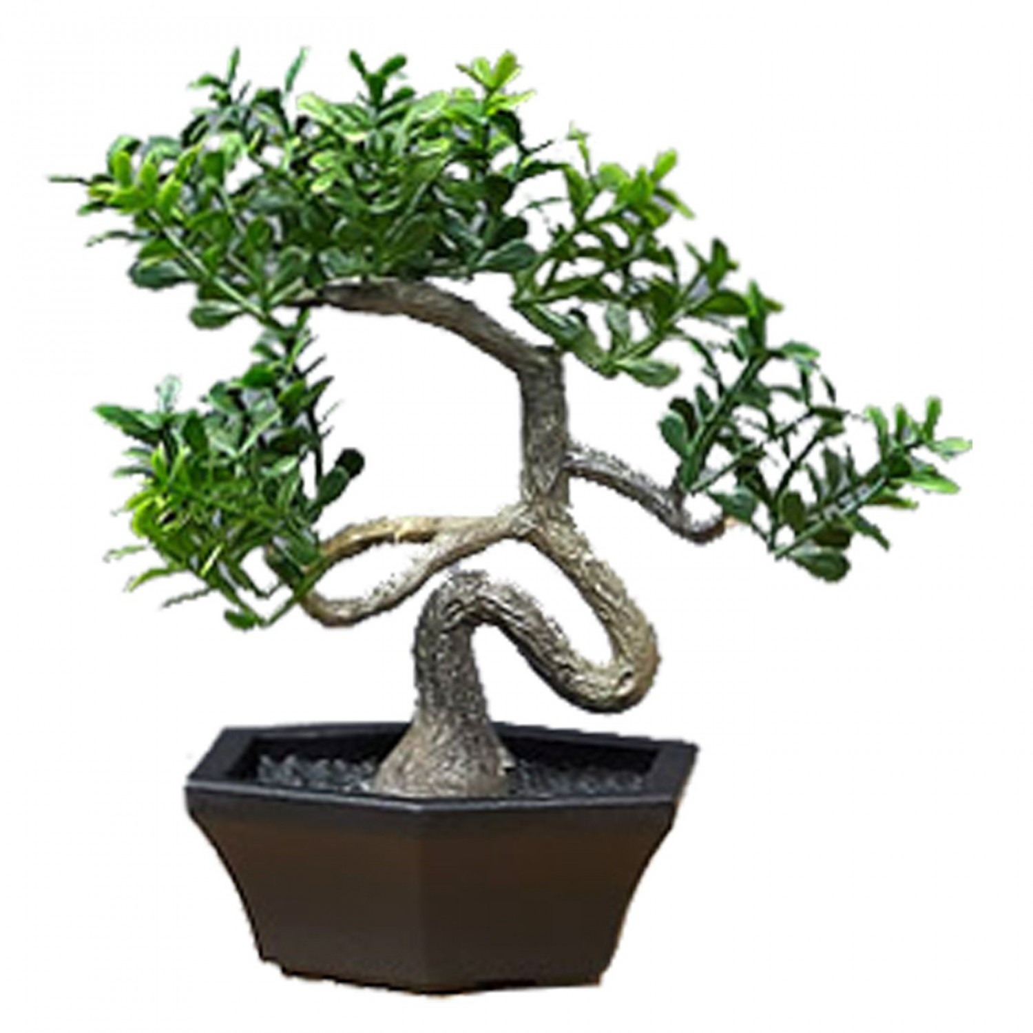 ΓΛΑΣΤΡΑΚΙ ΜΕ ΔΕΝΤΡΑΚΙ 13x10cm