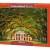 CASTORLAND ΠΑΖΛ 1000ΤΕΜ. OAK ALLEY PLANTATION 104383