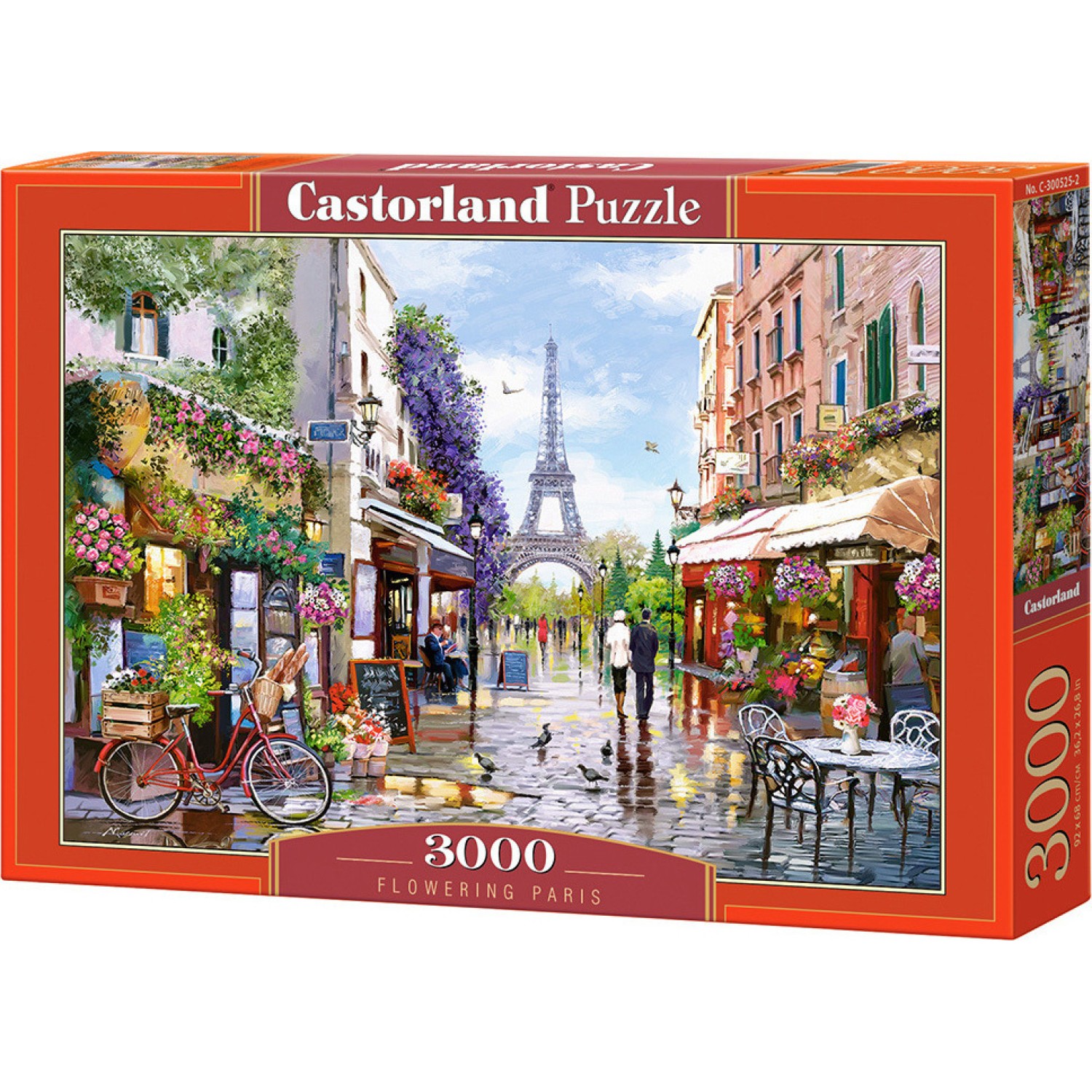 Flowering Paris 3000pcs (C-300525) Castorland