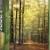 EUROGRAPHICS ΠΆΖΛ 1000ΤΕΜ. 6000-3846 FOREST PATH