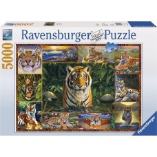 Τίγρεις 5000pcs (17424) Ravensburger