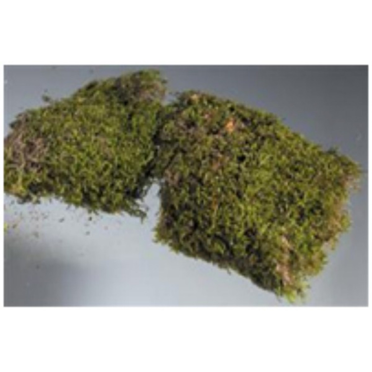 ΧΟΡΤΟ EFCO 2312303 ΜΑΚΕΤΩΝ (30gr)