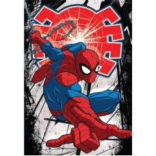 ΚΑΡΤΑ ΕΥΧΕΤΗΡΙΑ SPIDERMAN 500859