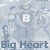 Big Heart Activity Book  B
