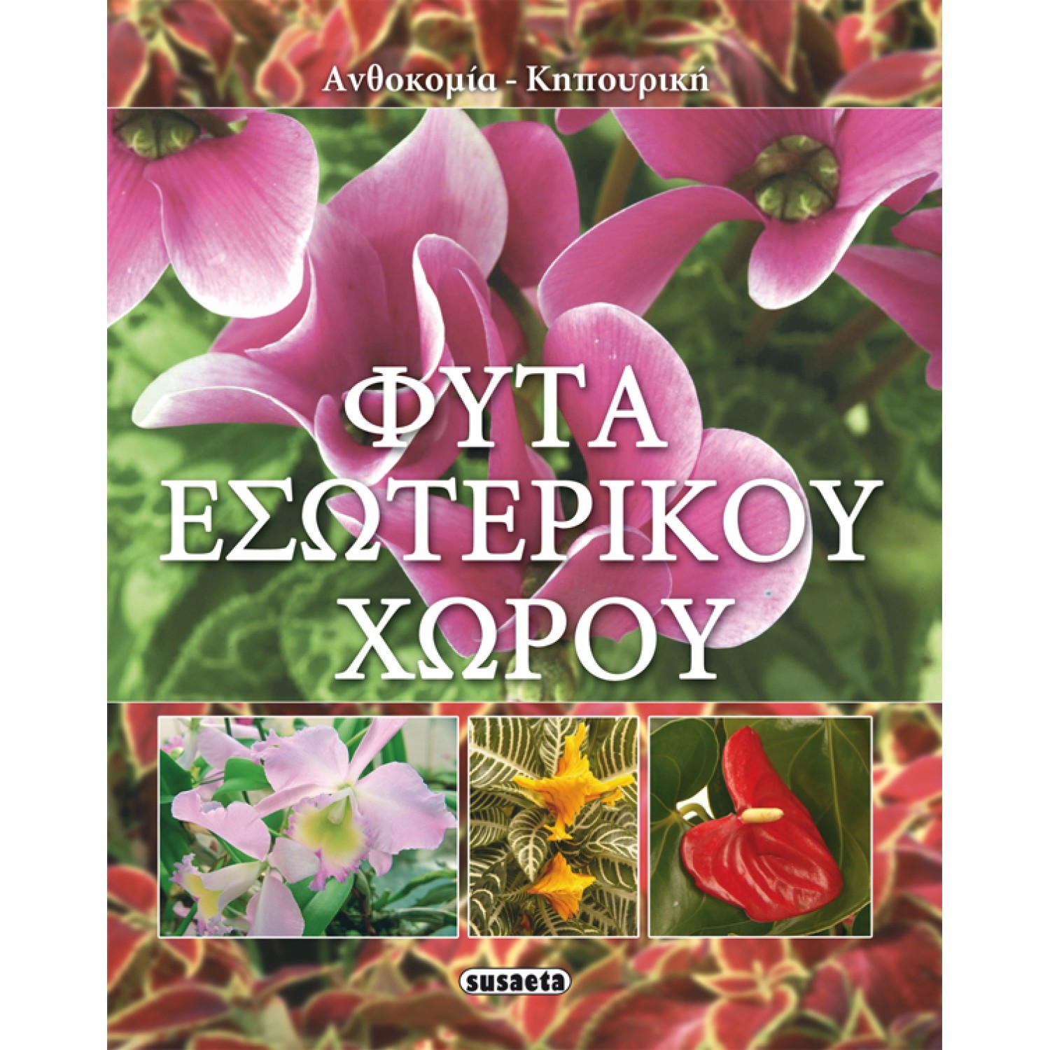 Φυτά Εσωτερικού Χώρου