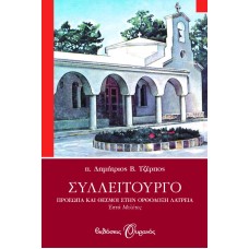 ΣΥΛΛΕΙΤΟΥΡΓΟ